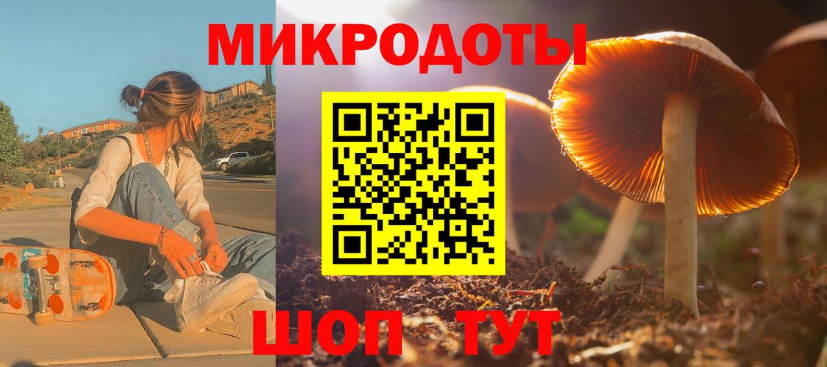 Псилоцибиновые грибы ЛСД Владимир